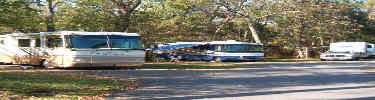 a picture of RV's in the campground